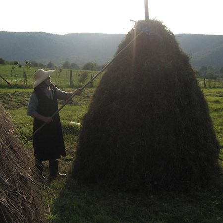 Pensiunea Irina Tilişca Extérieur photo
