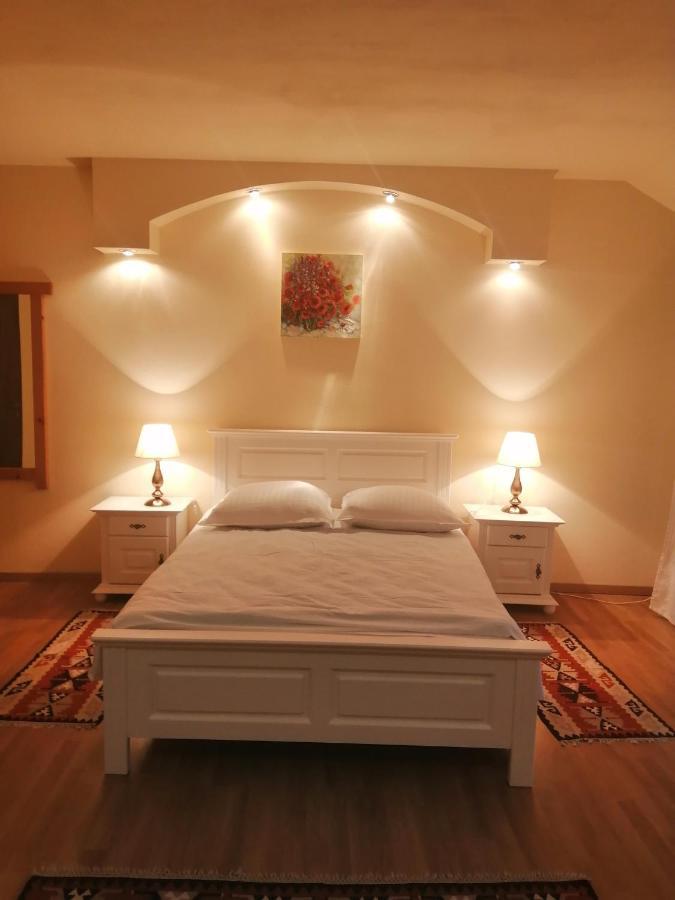 Pensiunea Irina Tilişca Extérieur photo