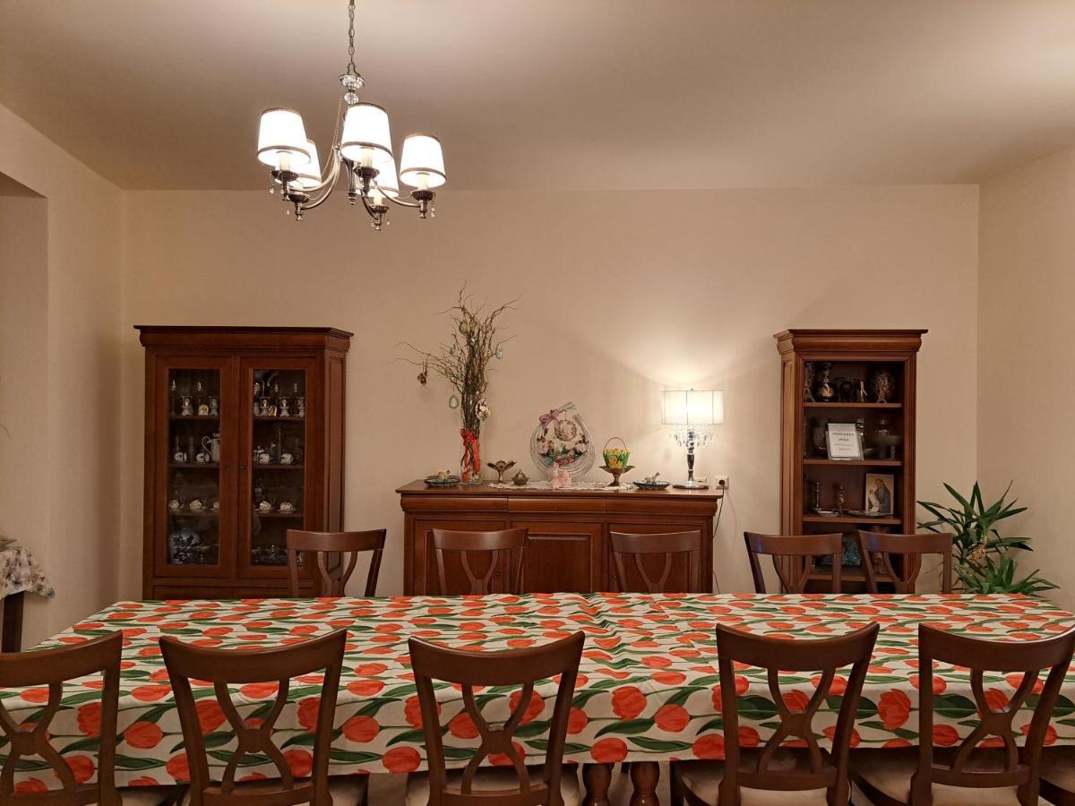 Pensiunea Irina Tilişca Extérieur photo