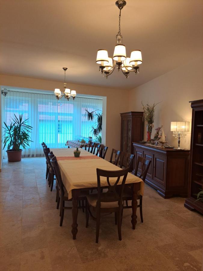 Pensiunea Irina Tilişca Extérieur photo