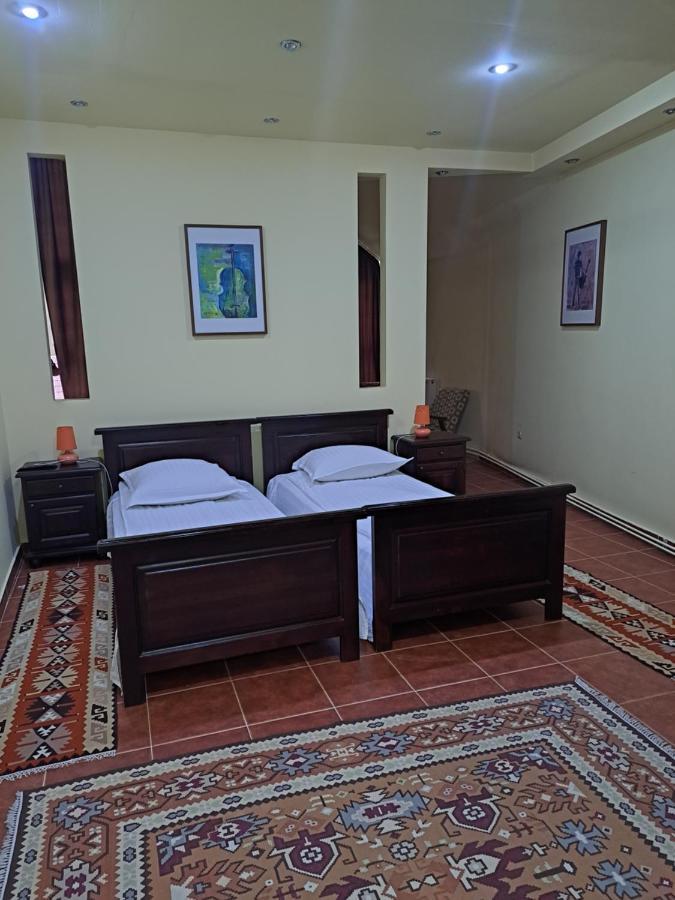 Pensiunea Irina Tilişca Extérieur photo