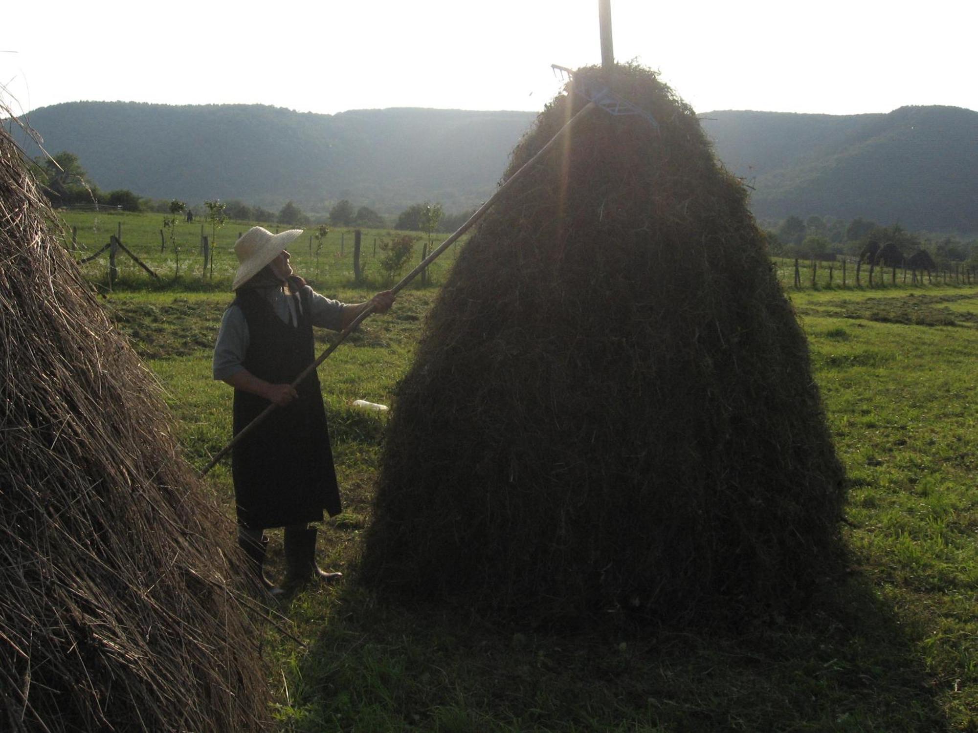 Pensiunea Irina Tilişca Extérieur photo