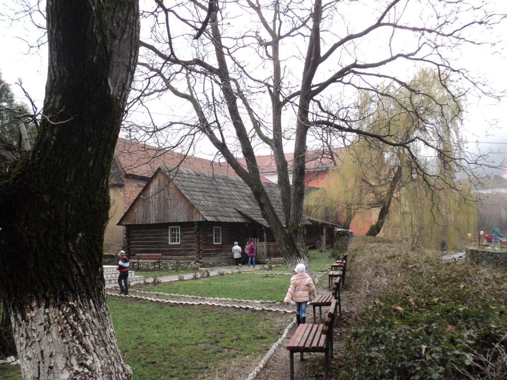 Pensiunea Irina Tilişca Extérieur photo
