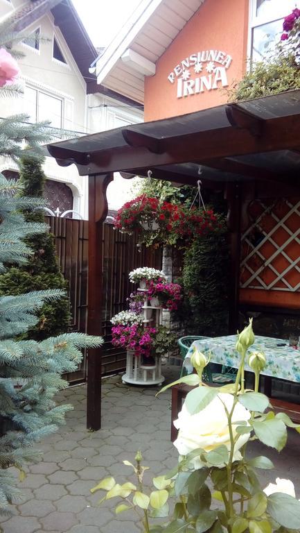 Pensiunea Irina Tilişca Extérieur photo