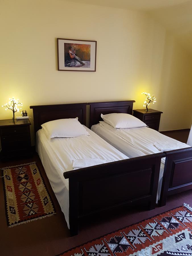 Pensiunea Irina Tilişca Extérieur photo