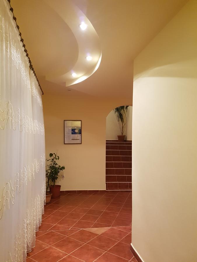Pensiunea Irina Tilişca Extérieur photo